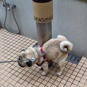 かんたくん文明に触れるの巻の画像