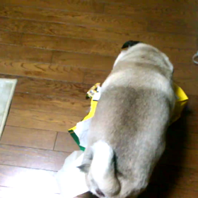 仕事始めの画像