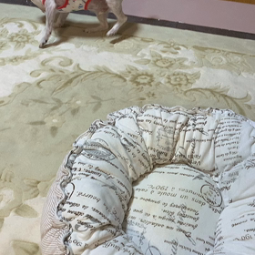 薬の量の画像
