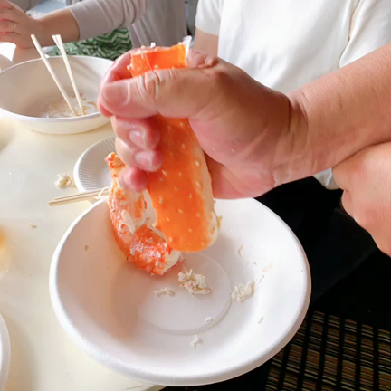 鎌倉野菜と海の家の記事動画