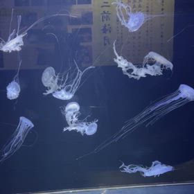 15の画像