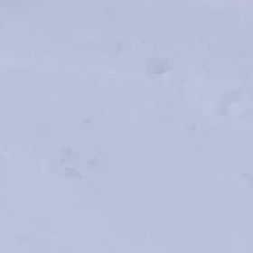 降りしきる雪の中で、黙々とスキー(昨日)の画像