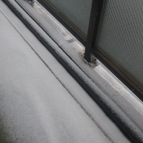 予報通り雪です　の画像