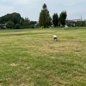 ばぁちゃん夏バテ中、婆婆馬鹿シリーズ、女子オープンの画像