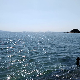 今日のキラキラの画像