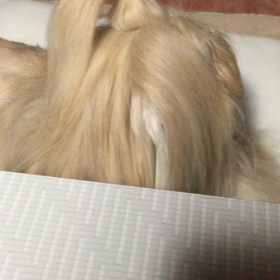 エビちゃんの日☆彡の画像