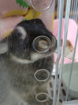 ご飯待ちの記事動画