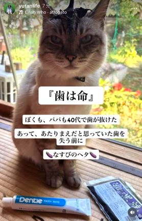 口内トラブルにはの記事動画