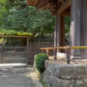 鎌倉 報国寺の画像