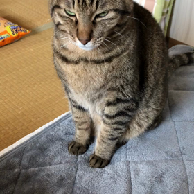 やっと…の画像