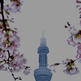 2017/04/06の画像