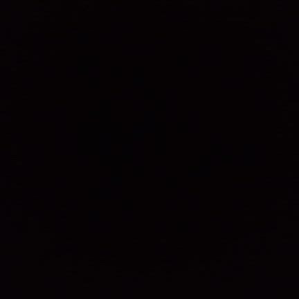 連日飲みに出た先週末の最終日の記事動画