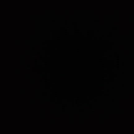 連日飲みに出た先週末の最終日の記事動画