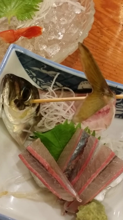 ご飯中の記事動画