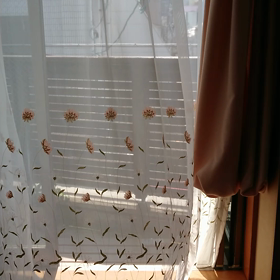 心地よい昼下がりの画像