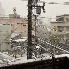 つかの間に…雪の画像