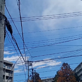 番外編 紅葉並木道♪の画像
