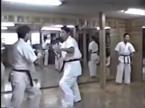 5523日目の記事動画