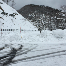 いざ！雪遊びへ！②の画像