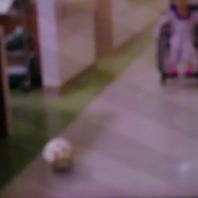 2022/02/04DVDの画像