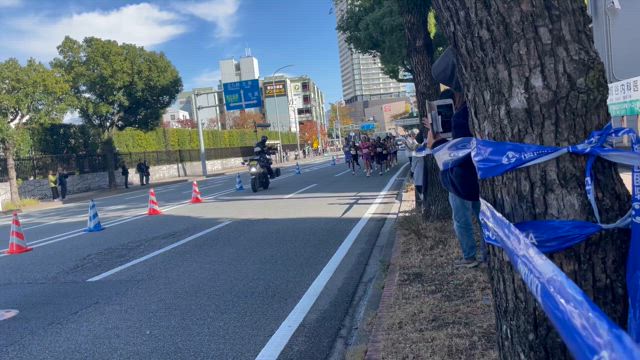 マグネシウムだらけの記事動画