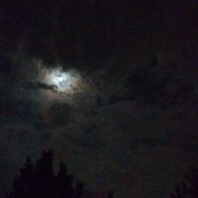 十五夜の画像