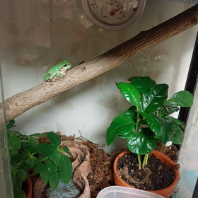 可愛すぎる…の画像
