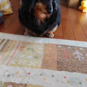 兄ちゃんは？の画像