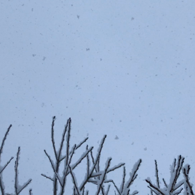 舞降る雪の様子。。。☕️(=^ェ^=)☘️の画像