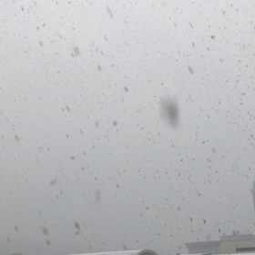 雪降る今朝の様子です。。。(=^ェ^=)☕️☘️の画像