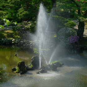 ☘️☕️☘️の画像