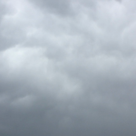 朝の雨(=^ェ^=)☘️の画像