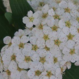 ☘️☕️☘️本日も、、、お疲れさまでした。。。の画像