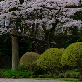 ☘️☕️☘️の画像