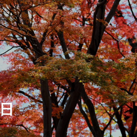 こんばんは☘️☕️☘️の画像
