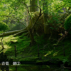 ☘️☕️☘️の画像