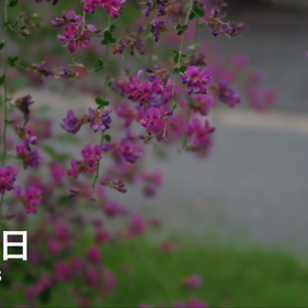 ⭐️☕️⭐️の画像