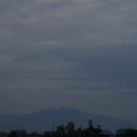 本日も、お疲れ様でした☘️☕️☘️の画像