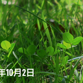 ☘️☕️☘️の画像