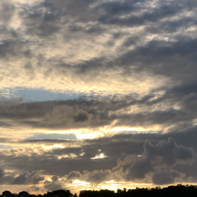 夕方の空   鳥  (=^ェ^=)☘️の画像
