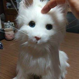 笑顔が増えたの画像