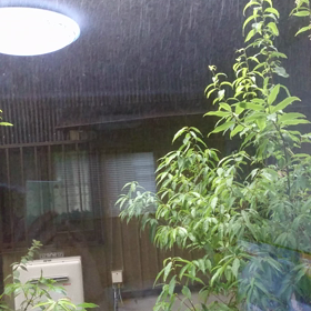 局地的豪雨の画像