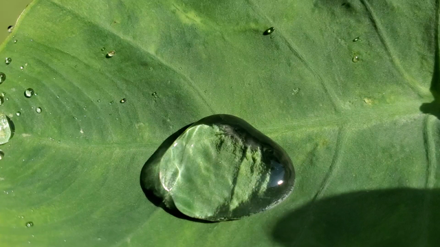 生かす側も、生かされているの記事動画