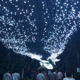 合宿合宿合宿〜(*^^*)の画像