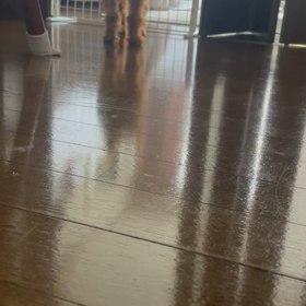 後数日で6ヶ月だけど。の画像