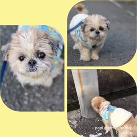 寒いけどの画像