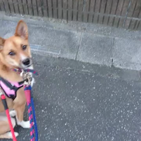可愛くって笑っちゃうの画像