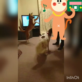 ダンスレッスン？の画像