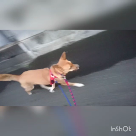 ノエるんるん♪の画像