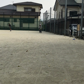 娘レースに向けての画像